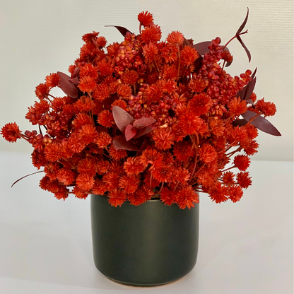 Black red