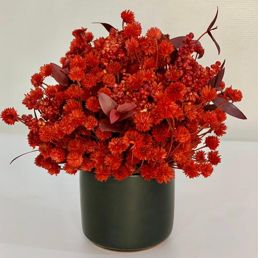 Black red